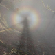 Illustration for article titled Have you seen this unearthly figure in the mist?